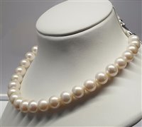 Collana Mazzucato Gioielli Donna in Perle Perla 25P5 - 25P5